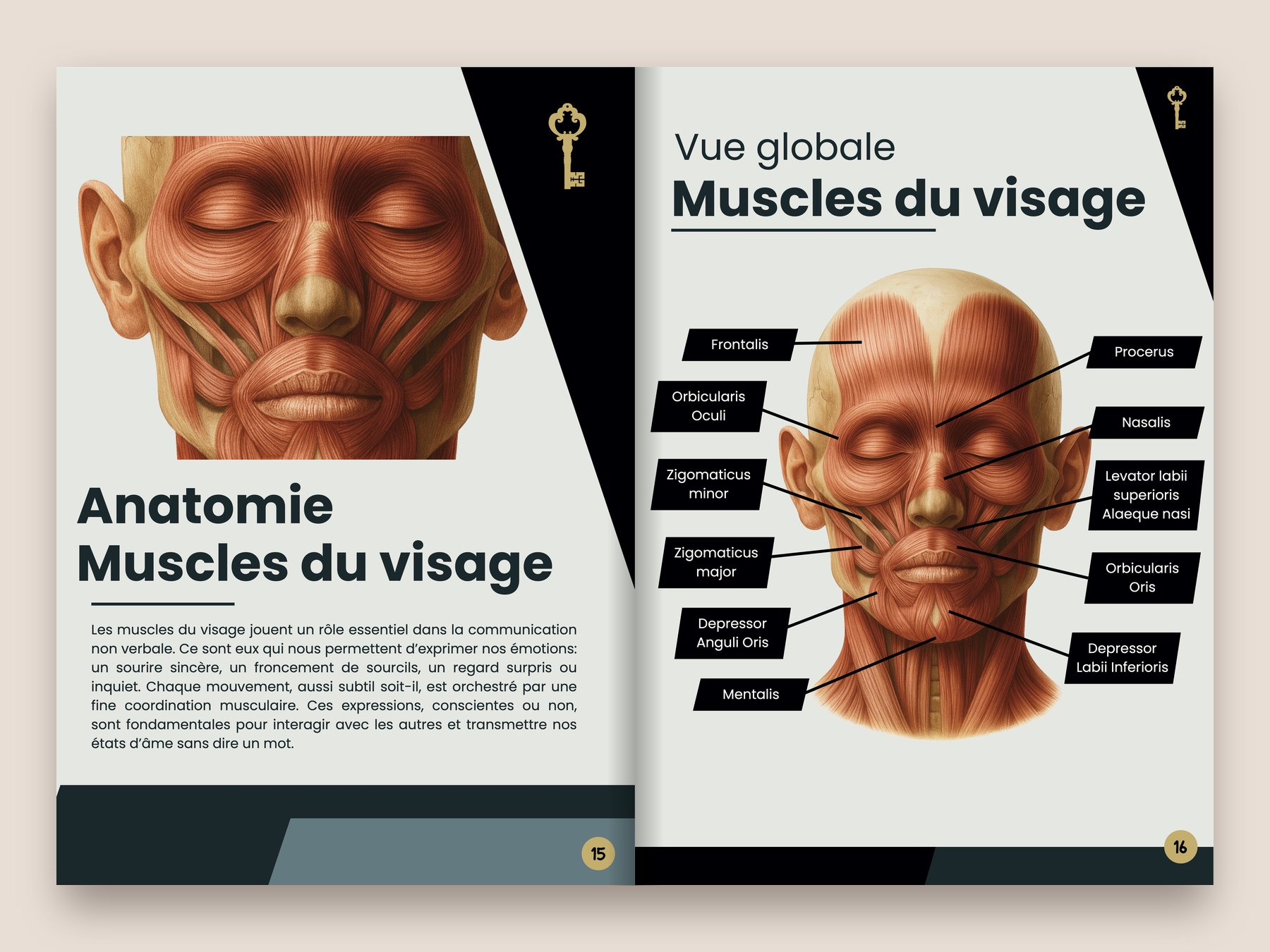 Deux pages du manuel La Clé Academy : anatomie des muscles du visage